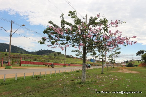 festa-trabalhador-mutum-1a3-05-15-226